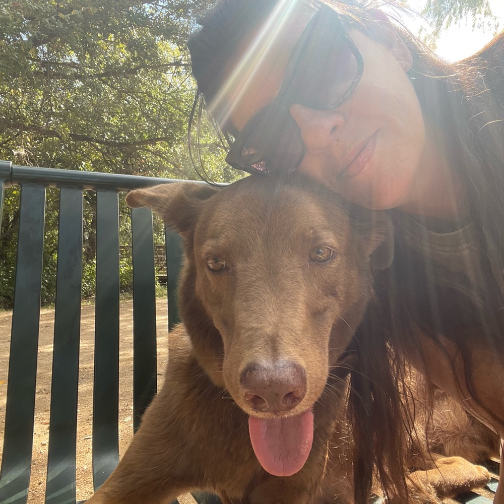 Meet your Posher, K9 behavior
